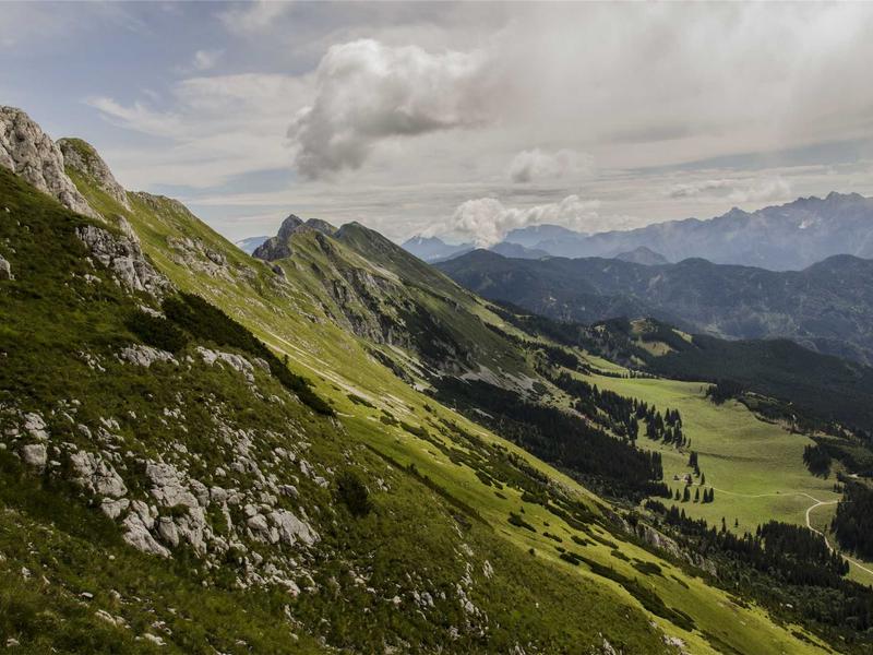 舌尖上的故乡<br>lyd4nhjn.cn 妈妈味道复刻
